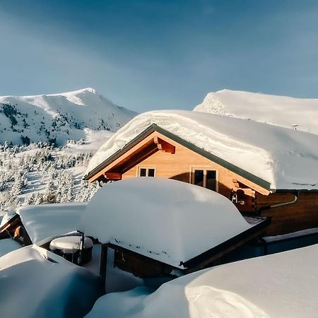 Heidi Chalets Falkert Heidialm - Chalets Bergwinter Patergassen Екстериор снимка